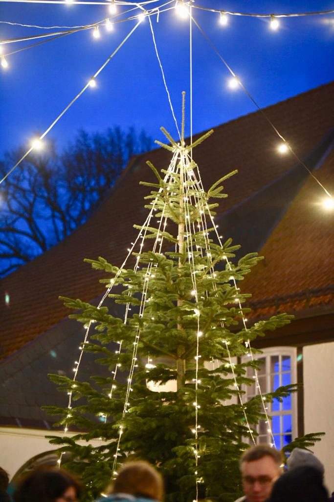 Der Weihnachtsbaum, das Herz des Weihnachtsmarktes schmückt den Kirchenvorplatz.